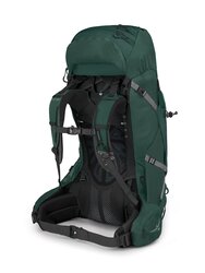 Osprey L/XL Aether Plus 60 Backpack, Dark Green