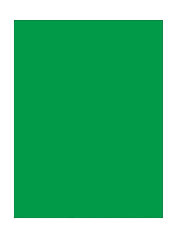 Visico Paper Background, 1.38 x 11 Meter, Green