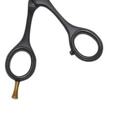 Globalstar 6.0" Dual Thinning Hair Scissors - Elegant Black Design