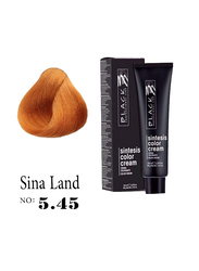 Black Professional Line Sintesis Color Cream, 100ml, BLK150045, Sienna Land 5.45