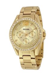 Fossil Riley Multi-Function Analog Watch for Women with Stainless Steel Band, Water Resistant and Chronograph, ES3203, Gold