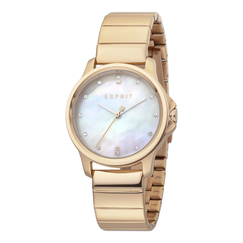 

ESPRIT Stainless Steel Women's Watch ES1L142M1065