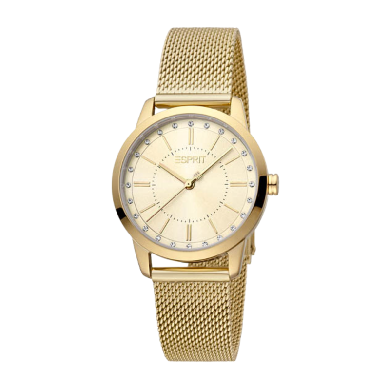 

ESPRIT Stainless Steel Women's Watch ES1L276M0115