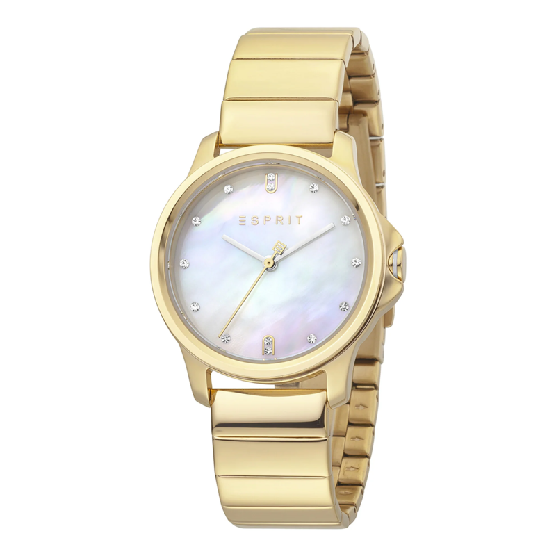 

ESPRIT Stainless Steel Women's Watch ES1L142M1055