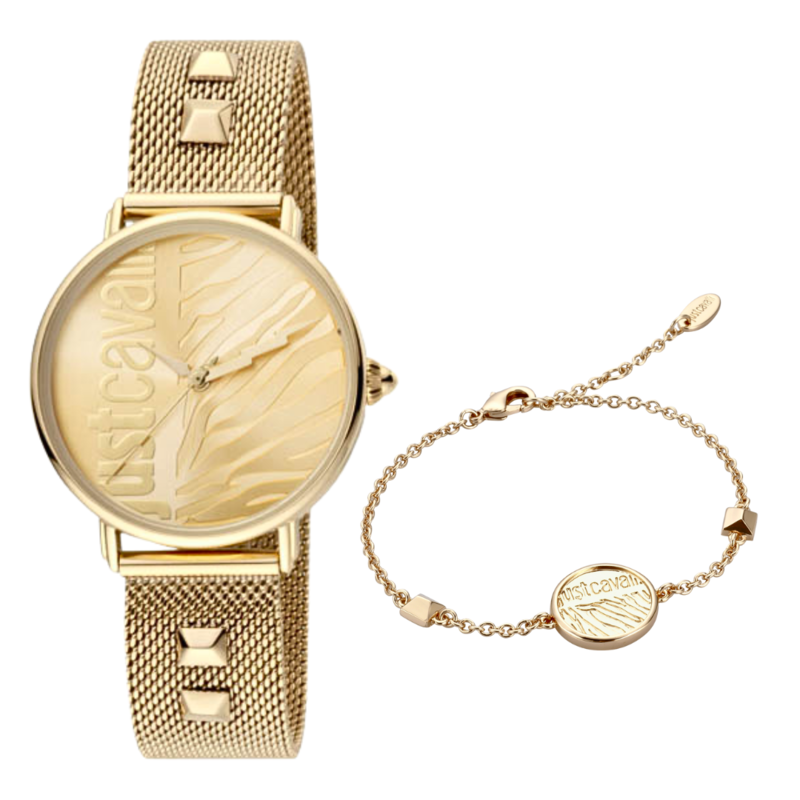 

JUST CAVALLI Metal Women's Watch JC1L077M0075