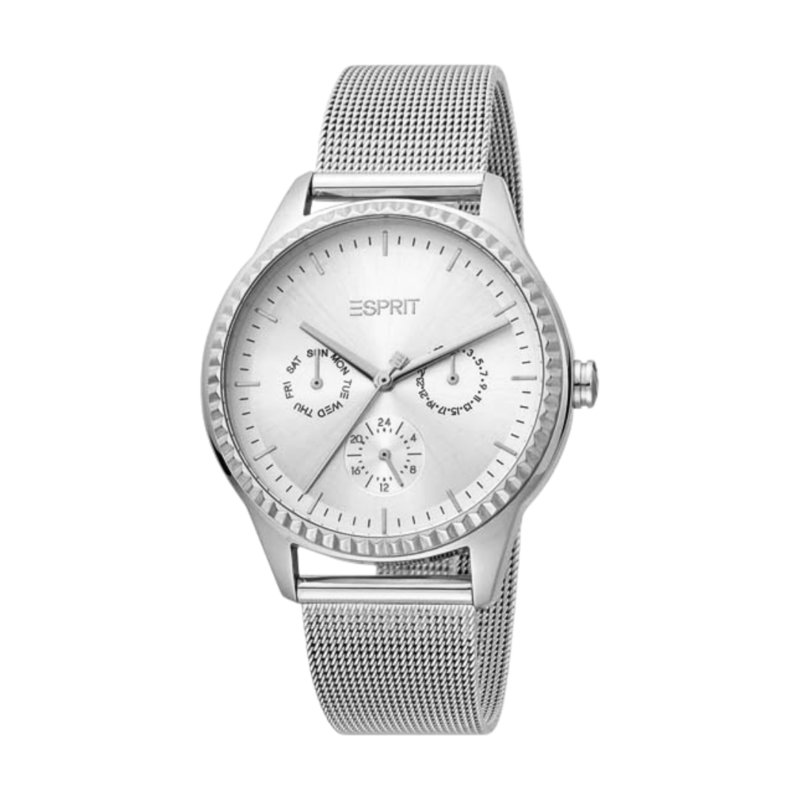 ESPRIT Stainless Steel Women's Watch ES1L220M0015