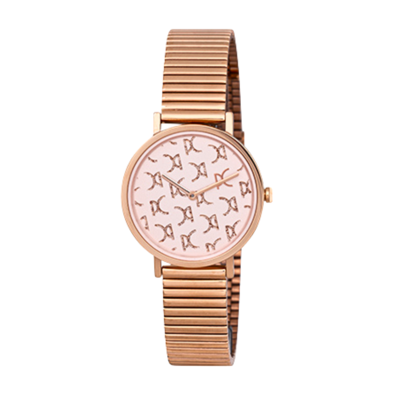 

PIERRE CARDIN Metal Women's Watch CBV.1540