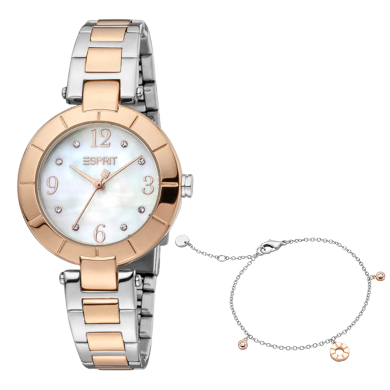 

ESPRIT Stainless Steel Women's Watch ES1L288M0085
