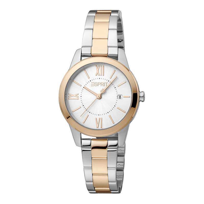 

ESPRIT Stainless Steel Women's Watch ES1L239M1095