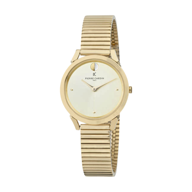 

PIERRE CARDIN Stainless Steel Women's Watch CPI.2530