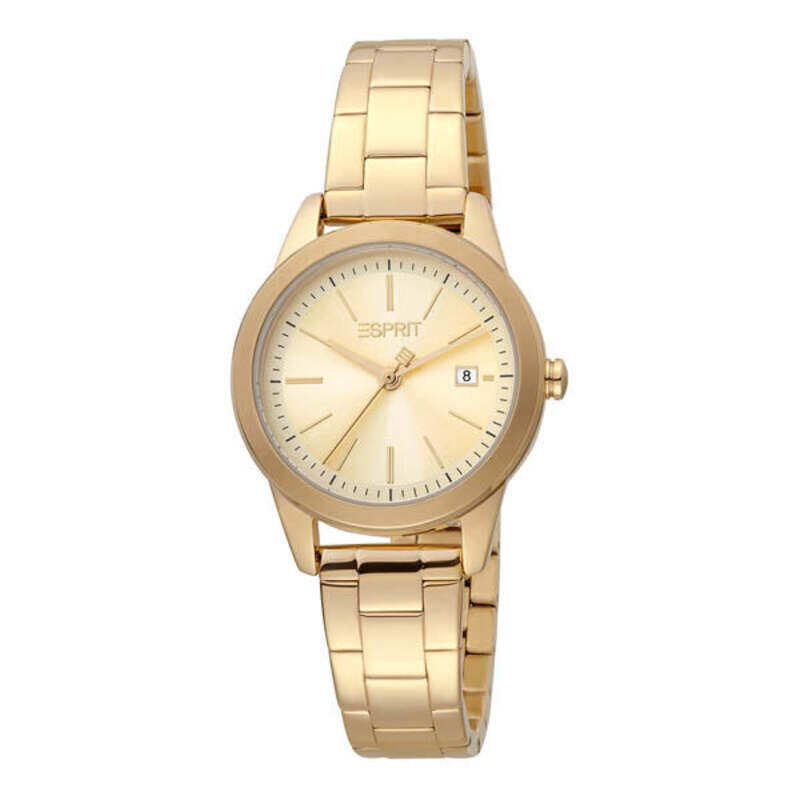 

ESPRIT Stainless Steel Women's Watch ES1L239M0075