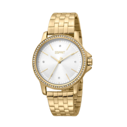 ESPRIT Stainless Steel Women's Watch ES1L143M1065