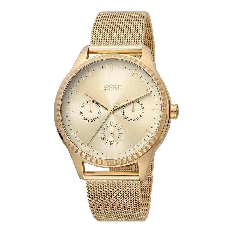 

ESPRIT Stainless Steel Women's Watch ES1L220M0025