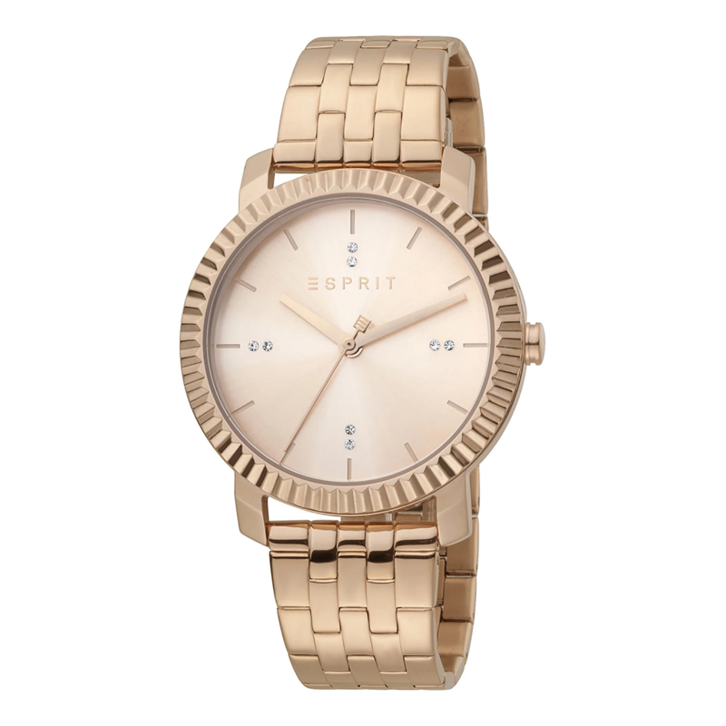 

ESPRIT Stainless Steel Women's Watch ES1L185M0075