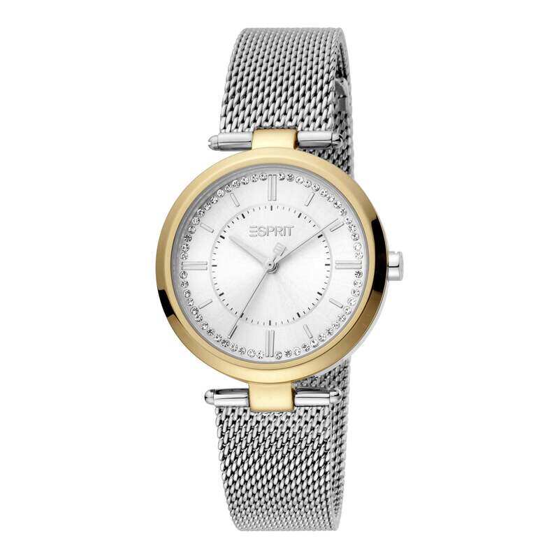 

ESPRIT Stainless Steel Women's Watch ES1L251M0075