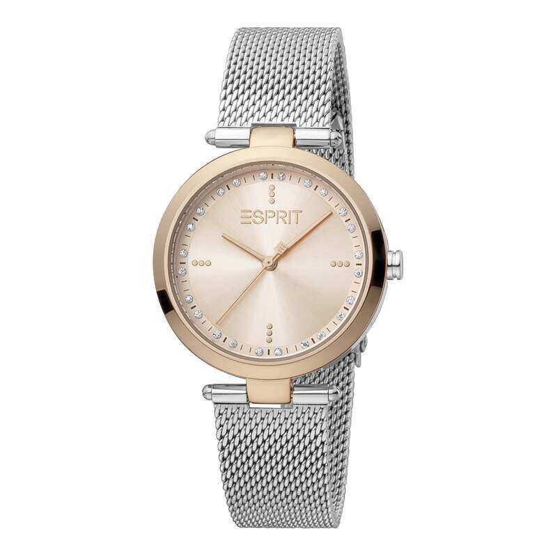 

ESPRIT Stainless Steel Women's Watch ES1L314M0145