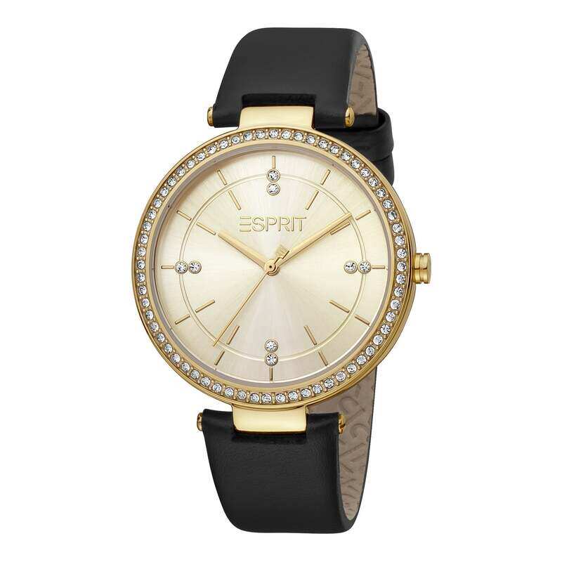 

ESPRIT Stainless Steel Women's Watch ES1L310L0025