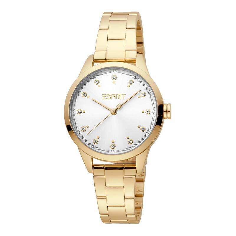 

ESPRIT Stainless Steel Women's Watch ES1L259M1025