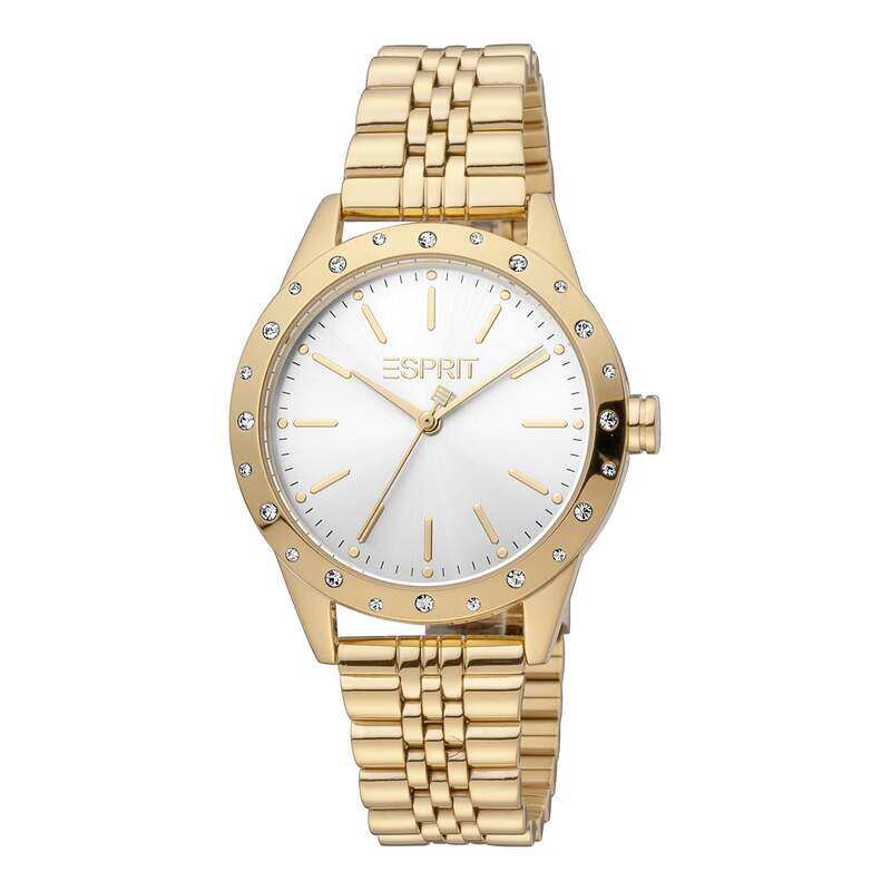 

ESPRIT Stainless Steel Women's Watch ES1L302M0065