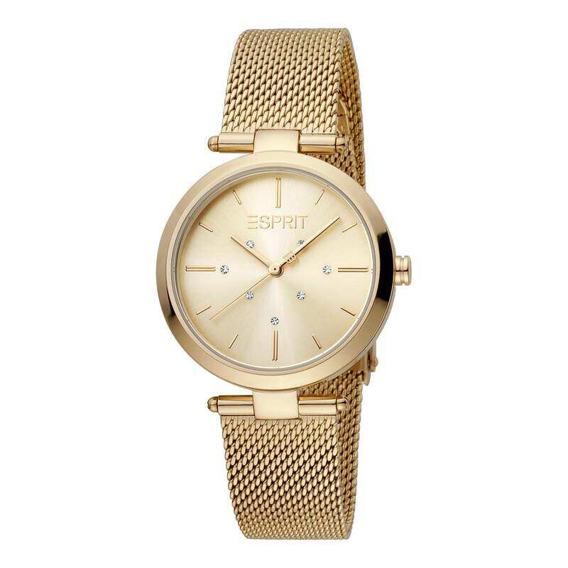 

ESPRIT Stainless Steel Women's Watch ES1L283M0055