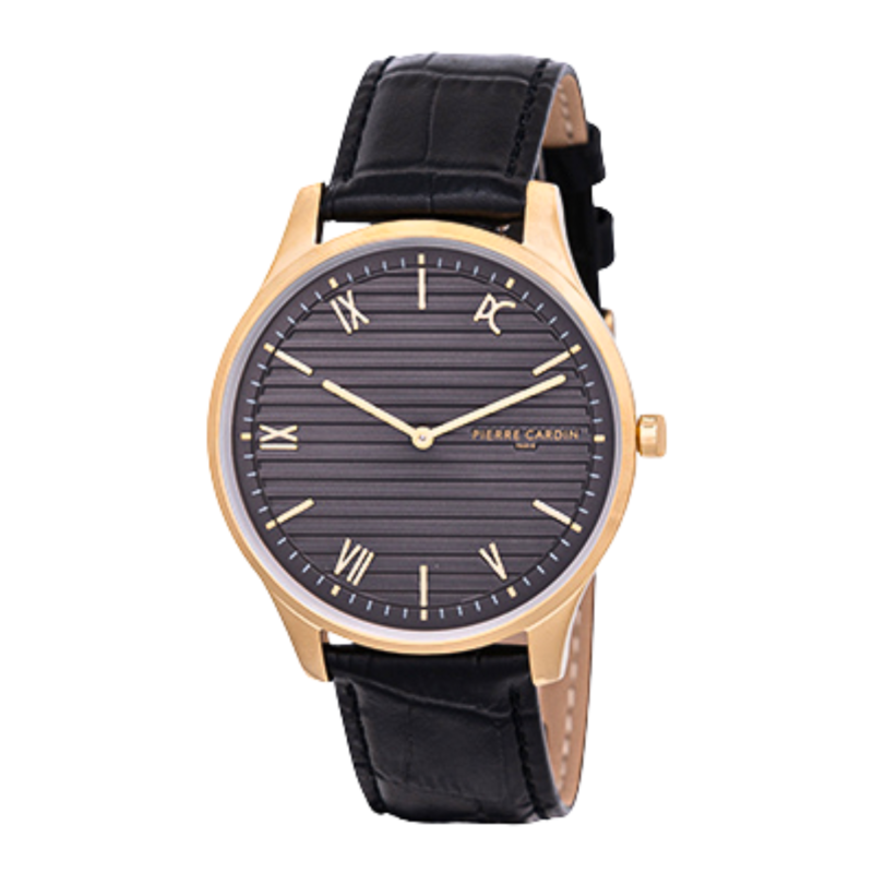 

PIERRE CARDIN Metal Men's Watch CBA.4024