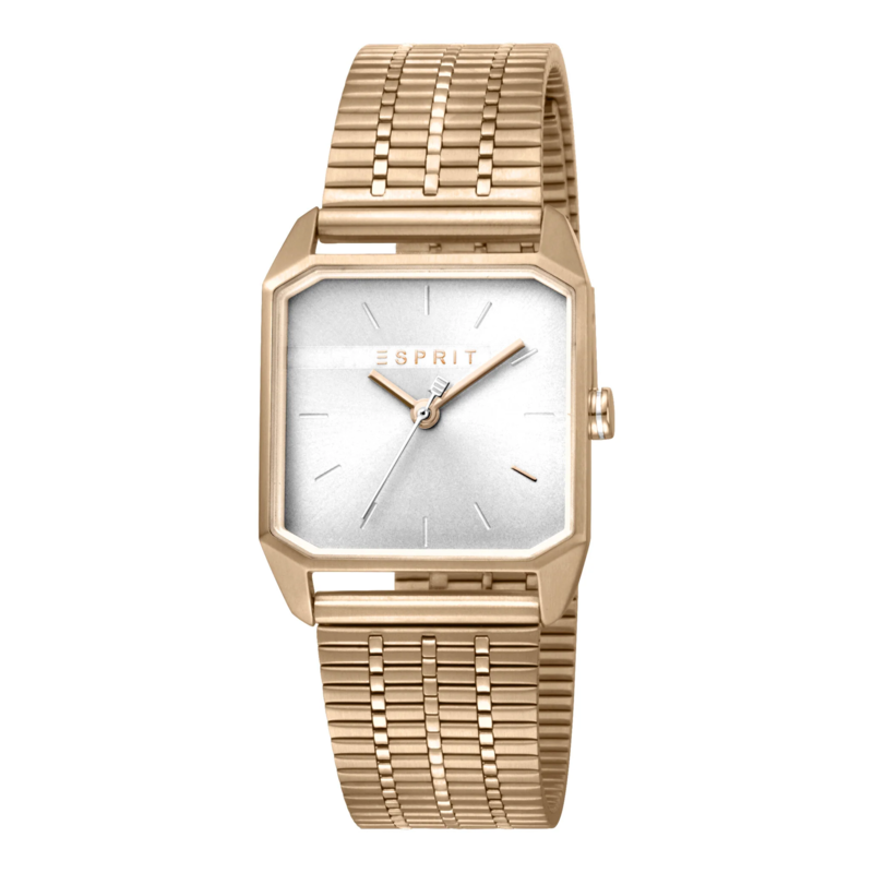 

ESPRIT Stainless Steel Women's Watch ES1L071M0035