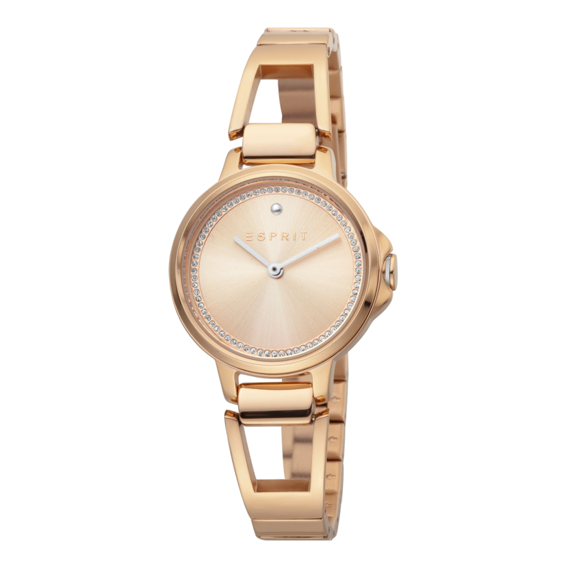 

ESPRIT Stainless Steel Women's Watch ES1L146M0075