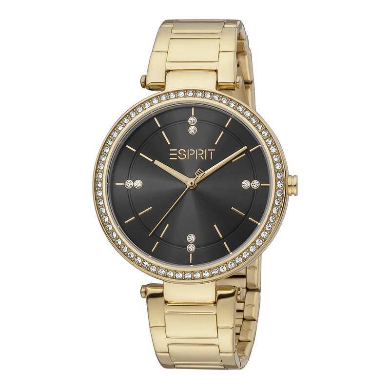 

ESPRIT Stainless Steel Women's Watch ES1L310M0065