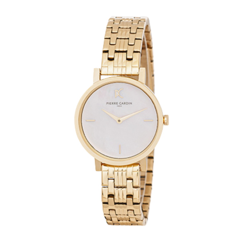 

PIERRE CARDIN Metal Women's Watch CCM.0527