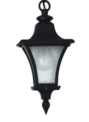 Salhiya Lighting Outdoor Hanging Ceiling Light, E27 Bulb Type, OS6301, Black