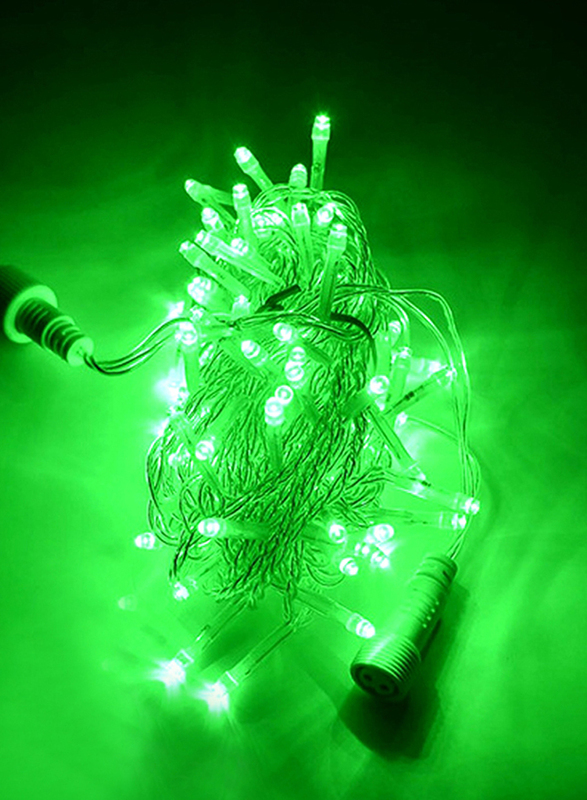 Salhiya Lighting Decorative LED Fairy String Tree Light, 10Meters, TDL100L, Green