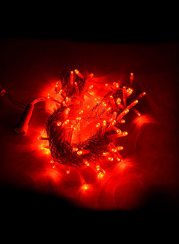 Salhiya Lighting Decorative LED Fairy String Tree Light, 10Meters, TDL100L, Red
