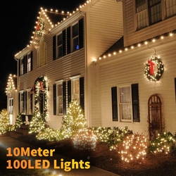 Salhiya Lighting Decorative LED Fairy String Tree Light, 10Meters, TDL100L, White