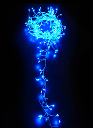 مركز اضواء الصالحية 2 متر مجموعة من 100 مصباح ال اي دي, PL17637C, ازرق
