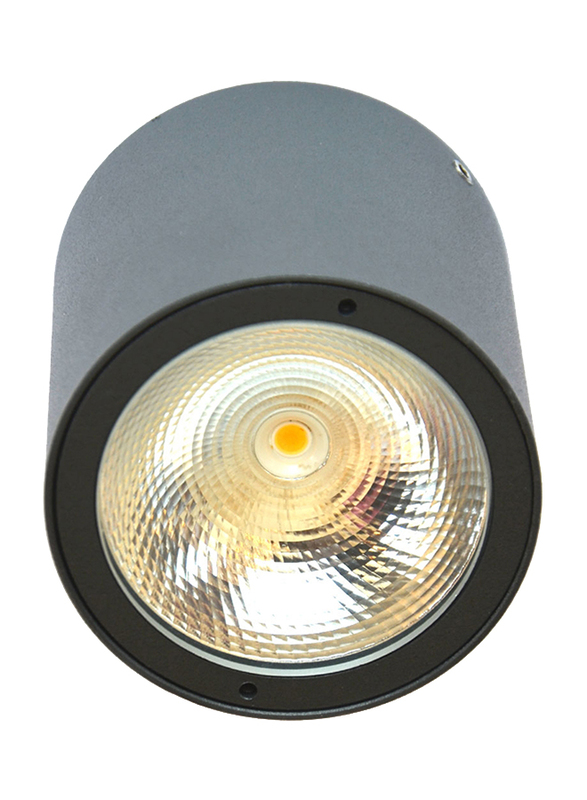 Salhiya Lighting Indoor/Outdoor Ceiling Light, LED Bulb Type, 1 Bulb, 7W, IP54, 2236-COB, 3000K-Black