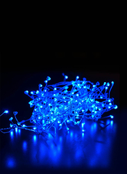 Salhiya Lighting 2-Meter Decorative Cluster 100 LED Light Chain, PL17637C, Blue