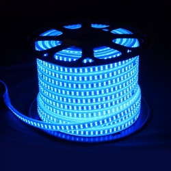 Salhiya Lighting 50 Meter High Quality LED Flexible Strip Light, Double line 180 LED/Meter and 13W/Meter, 5 Years Lifespan, OML2835, Blue