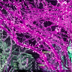 Salhiya Lighting Decorative LED Fairy String Tree Light, 10Meters, TDL100L, Pink
