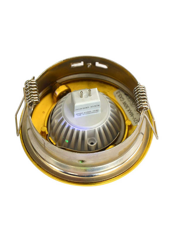 Salhiya Lighting Spotlight Frame, LED Bulb Type, Octagon Movable, AL1042, Gold