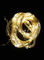 Salhiya Lighting 3-Meter Decorative Cluster 400 LED Light Chain, PL17975, Warm White