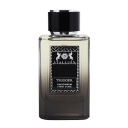 Stallion Trigger  Edp Him 100ml