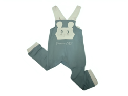 Forever Cute Overall Dungaree (2-3yrs,Mint)