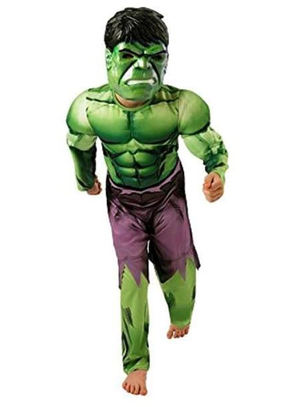 Hulk Classic Costume, Multicolour