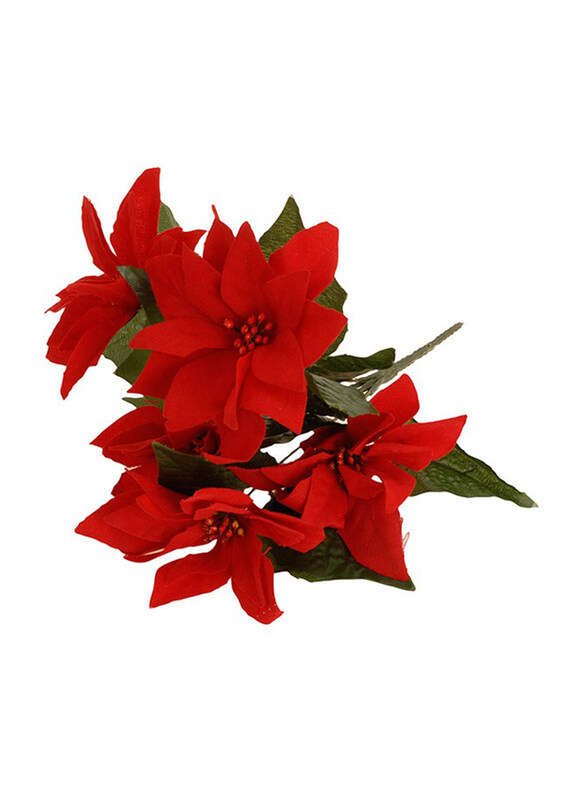 

Generic Christmas Flower, 200 x 130 x 340mm, Green/Red