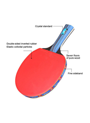 Professional Training Table Tennis Bat and Ball Set, 6 Pieces, Multicolour