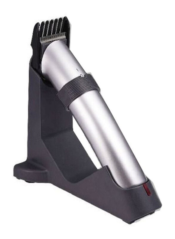 

Dingling Professional Electric Shaver, RF-608, Silver/Black