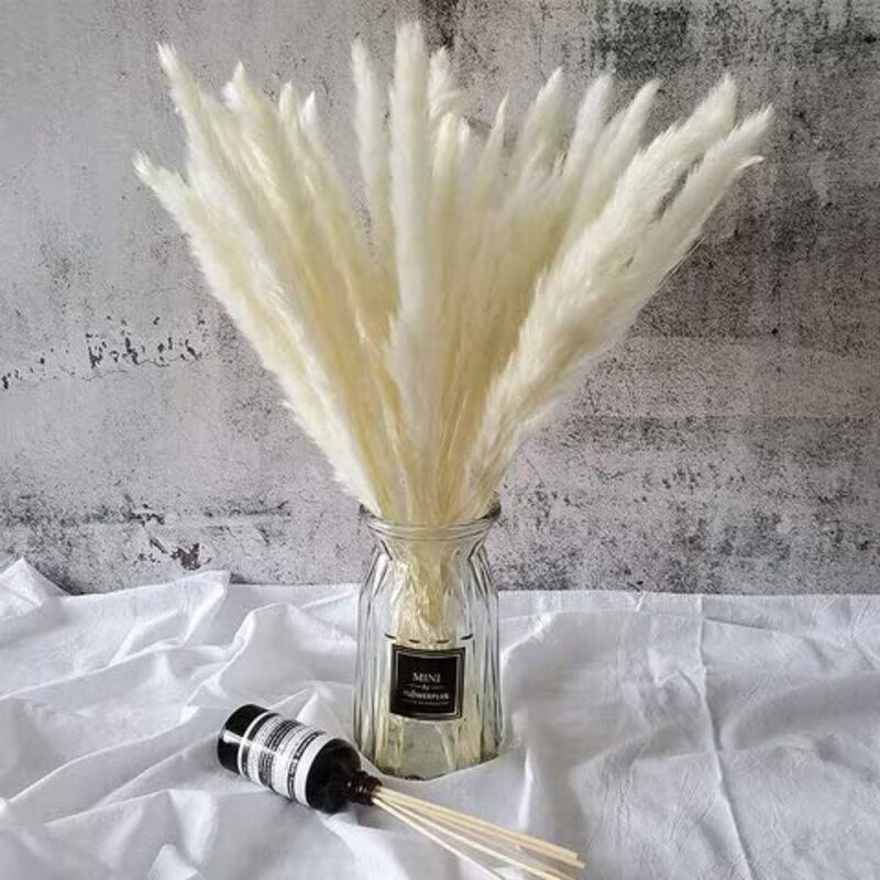 

Generic Natural Flower Arrangements Dried Pampas Grass, 45cm, 30 Pieces, White