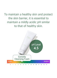 Mixsoon Centella Cleansing Foam, 150ml