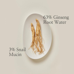 Beauty Of Joseon Revive Serum Ginseng + Snail Mucin, 30ml