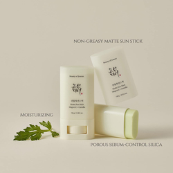 Beauty Of Joseon Matte Sun Stick Mugwort + Camelia, 18gm